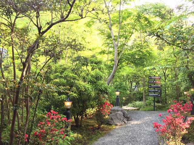 黒川温泉山みず木本館正面
お庭には躑躅が咲いていてイイ感じ_山あいの宿 山みず木