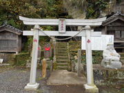 トシローさんの竹岡のヒカリモ(黄金井戸)の投稿写真1