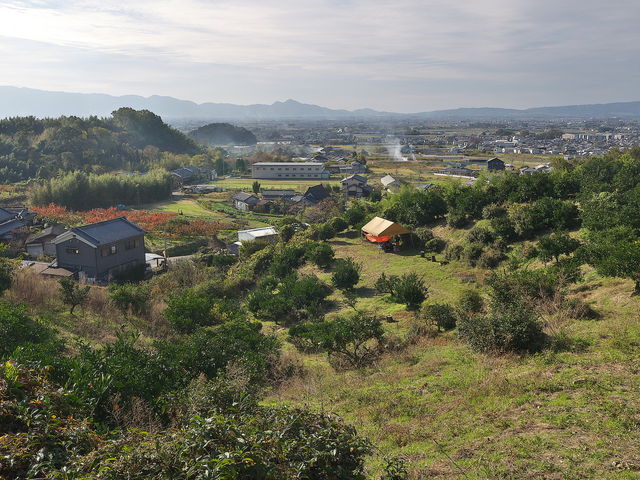 sklfhさんの山の辺みかん狩りの投稿写真1