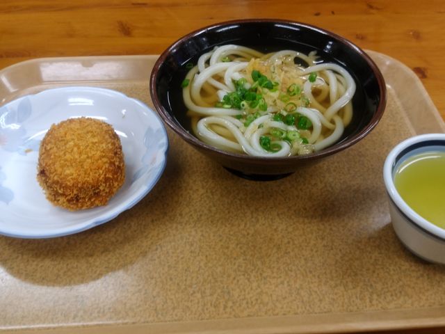 おススメはかけうどん。_上原屋 本店