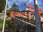 アイルトンくんさんの久井稲生神社の投稿写真1