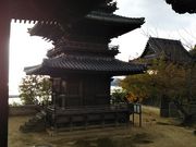 やんまあさんの本蓮寺の投稿写真1