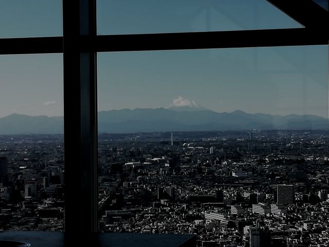 大きな窓から見える富士山_ピーク・ラウンジ