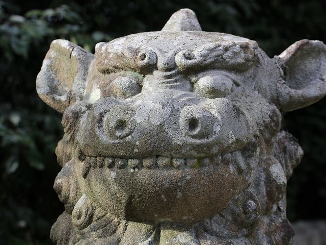 耳が特徴的でした。_備後護国神社