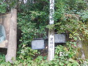 纏さんの足柄峠の投稿写真1