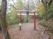 纏さんの足柄古道の投稿写真1
