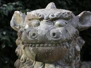 Yanwenliさんの備後護国神社の投稿写真4