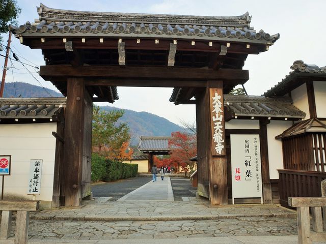 天龍寺003_天龍寺