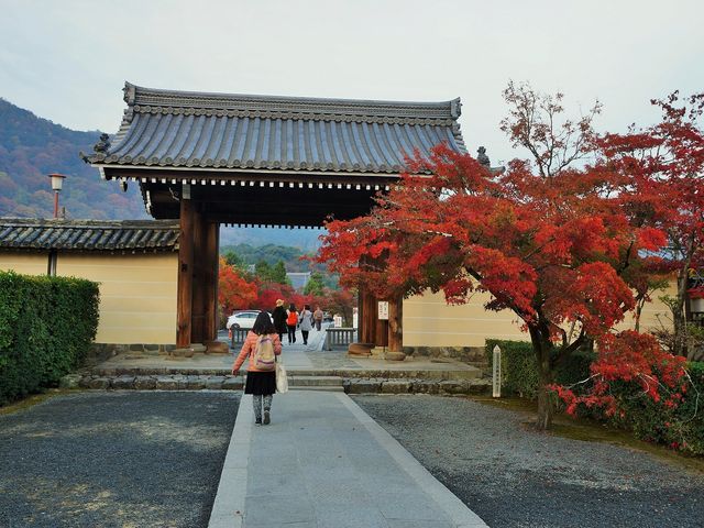 天龍寺004_天龍寺