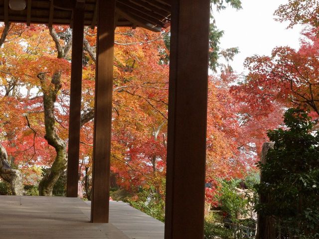 秋の常寂光寺011_常寂光寺