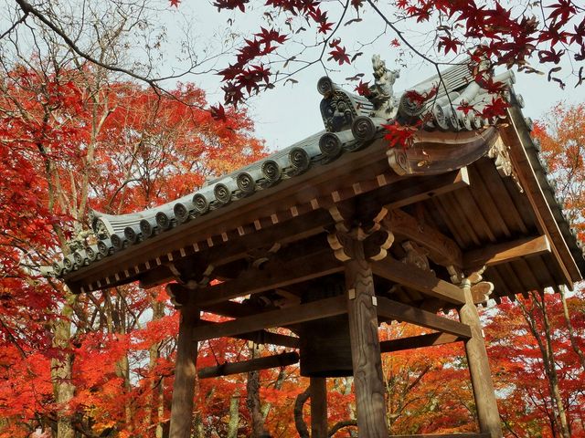 秋の常寂光寺012_常寂光寺
