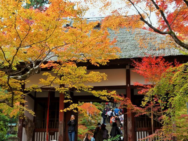 秋の常寂光寺003_常寂光寺
