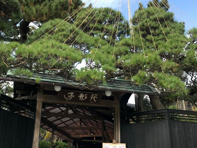 日本料理 行形亭