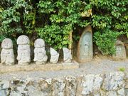 雷ちゃんさんの嵐山公園の投稿写真3