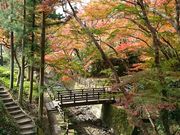 おーにんさんの根來寺の紅葉の投稿写真1