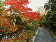雷ちゃんさんの天龍寺の投稿写真6