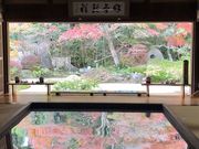 mintさんの寿福寺の投稿写真1