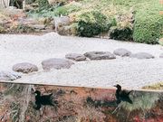 mintさんの寿福寺の投稿写真2