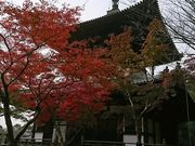 おーにんさんの根來寺の紅葉の投稿写真1