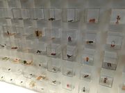 碧さんのグリコピア・イーストの投稿写真2