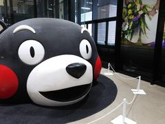 秋山さんのJR熊本駅への投稿写真1