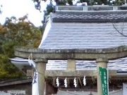 フルスピードさんの愛宕神社の投稿写真1