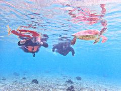 てんてんさんのハーミットクラブへの投稿写真1