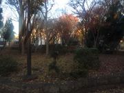 Kuda12さんの諏訪の森公園の投稿写真1