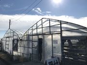 宗平さんのストロベリーハウスおての投稿写真3