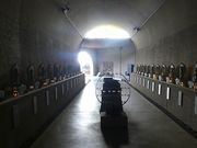 マックさんの玉川洞窟観音の投稿写真8