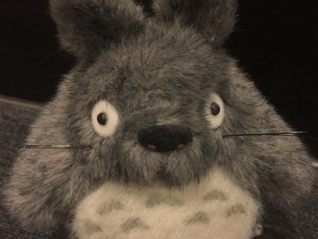 何年経っても色褪せないジブリの作品。富山旅行でジブリ鑑賞するとは思いませんでした。笑_富山市ガラス美術館