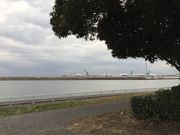 ヒロシさんの京浜島つばさ公園の投稿写真1