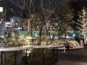 cinnamonさんのSHIBUYA CAST.(渋谷キャスト)の投稿写真1