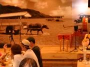 こうむさんの島唄ライブおばぁの家 海音 みおんの投稿写真1