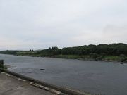 キヨさんの木曽川の投稿写真1