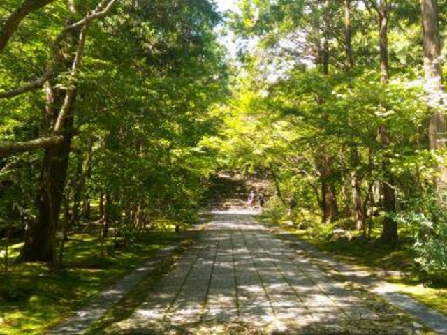参道_竹林寺