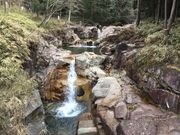 オイロパさんの高賀渓谷の投稿写真2