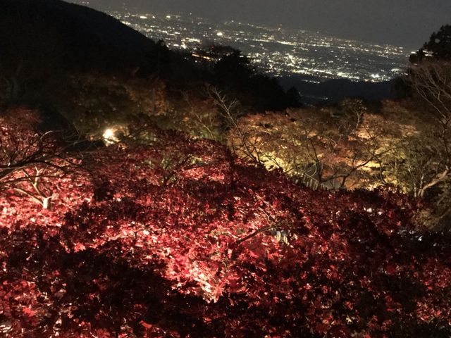 ライトアップ_大山