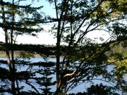 ふみこさんのカムイト沼の投稿写真1