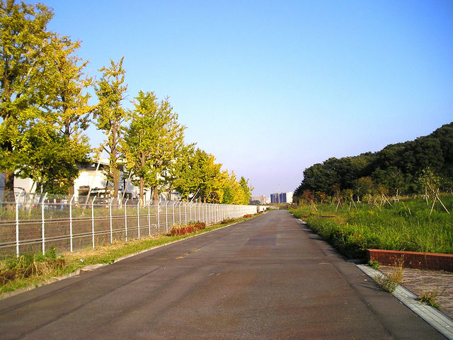 多摩美術大の裏手あたりです_尾根緑道