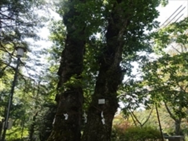 諏訪神社(長野県軽井沢町)