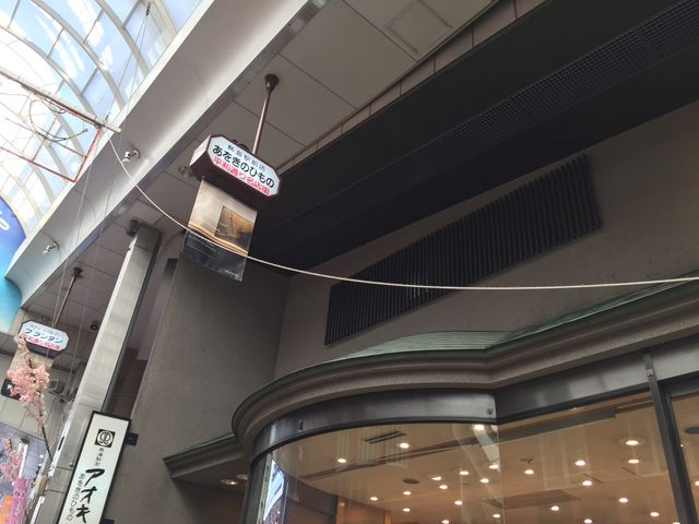 アオキの干物_あをきのひもの