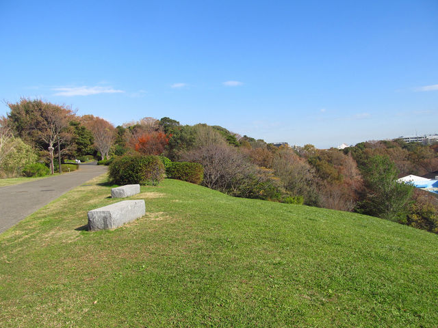 この広場は眺めがよいです_本牧山頂公園