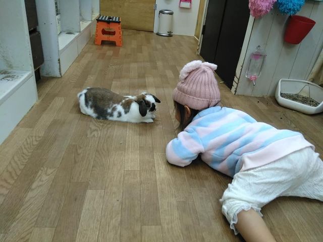 子供が興味津々でした。_うさぎカフェ うさびび【池袋】