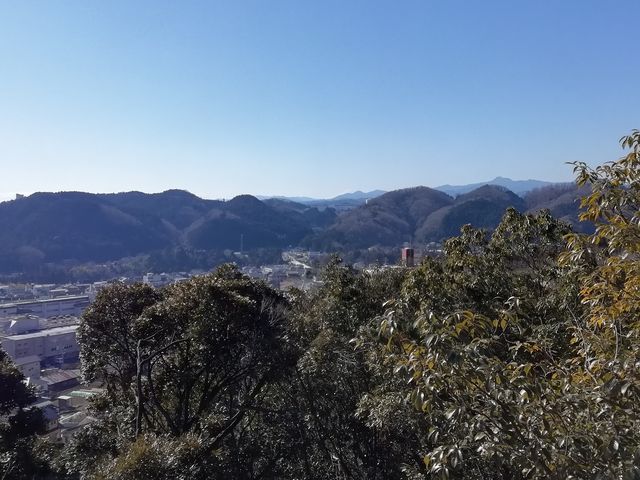 富士山は写らず 飯能市街と奥多摩方面の山々_天覧山