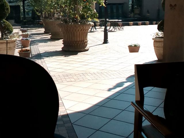 店内からの眺め_ラウンジ トレビ