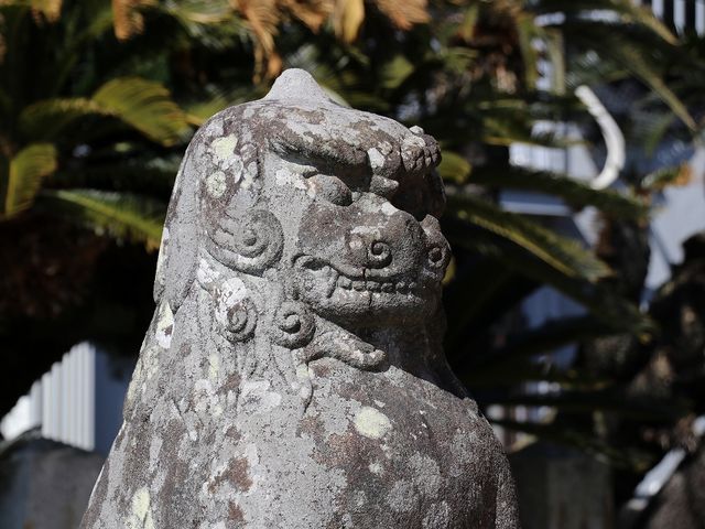 文化六年の銘がありました。_柳井天満宮(菅原神社)/ソテツ群