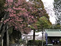 宮地嶽神社の写真2
