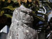 Yanwenliさんの柳井天満宮(菅原神社)/ソテツ群の投稿写真3