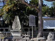 Yanwenliさんの柳井天満宮(菅原神社)/ソテツ群の投稿写真4